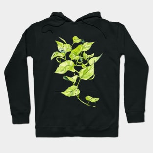 Devils Ivy, Illustration Hoodie